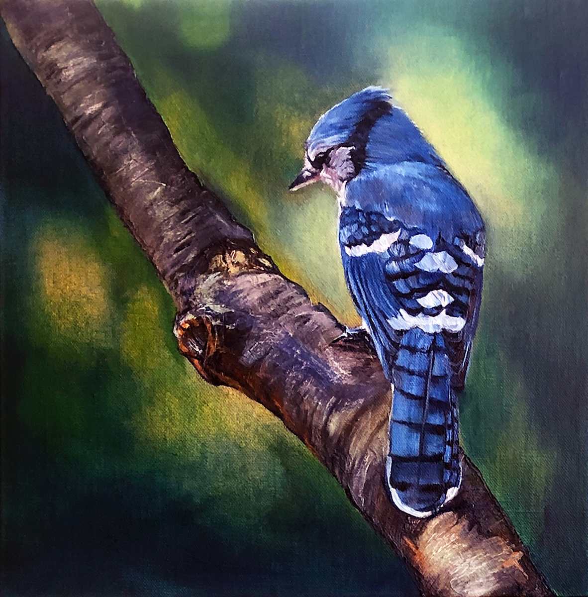 Blue Jay Reverie by Bobbe Jones, Image 1.