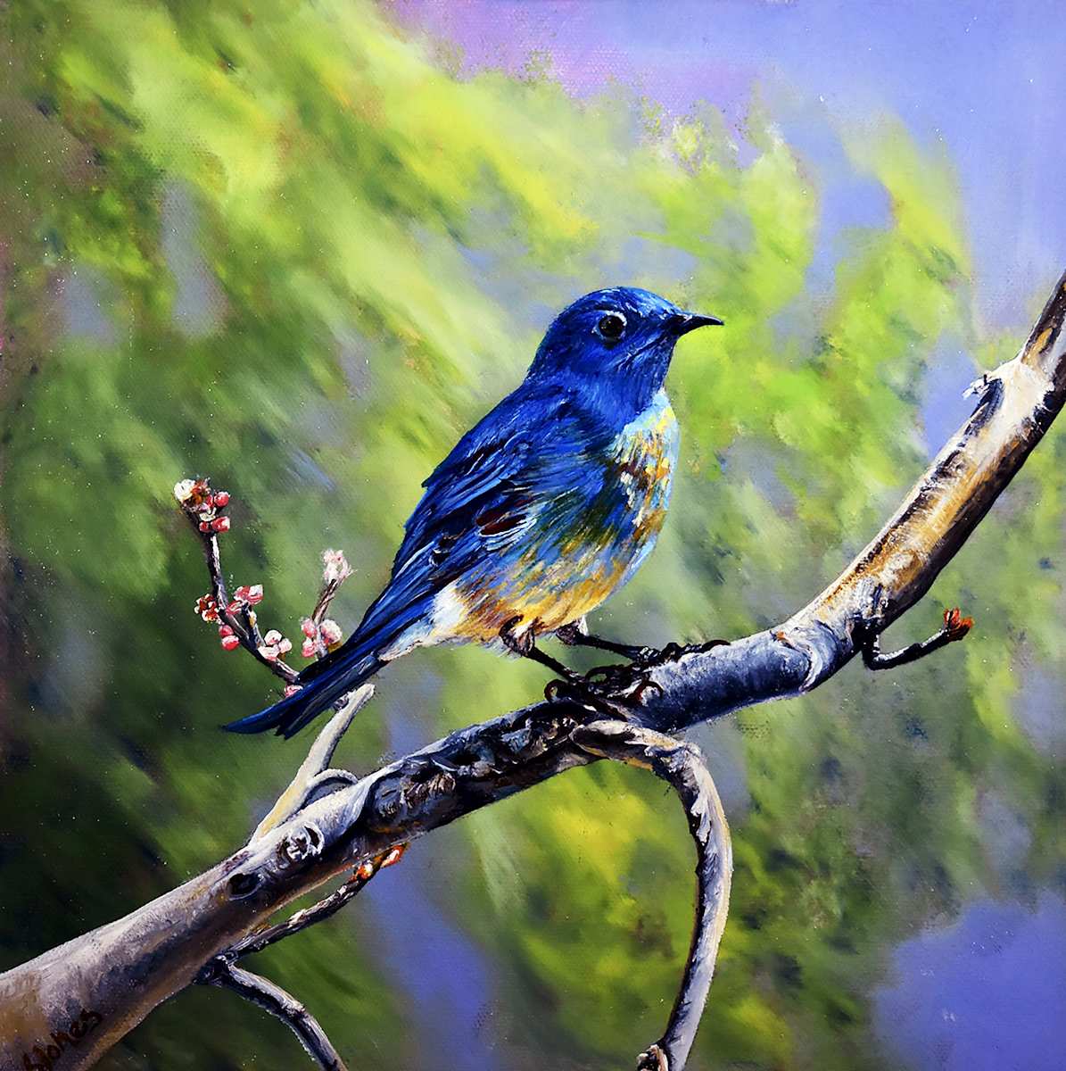 Bluebird by Bobbe Jones, Image 2.