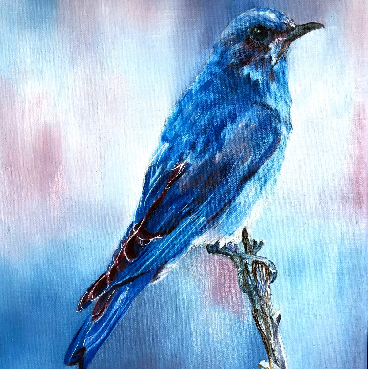 Bluebird by Bobbe Jones  Image: Original