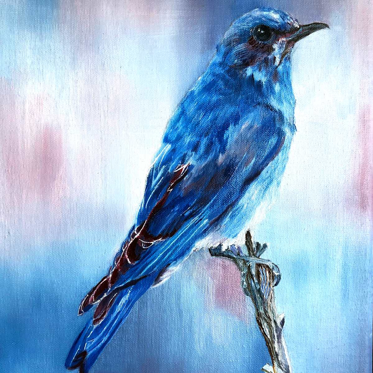 Bluebird by Bobbe Jones, Image 1.