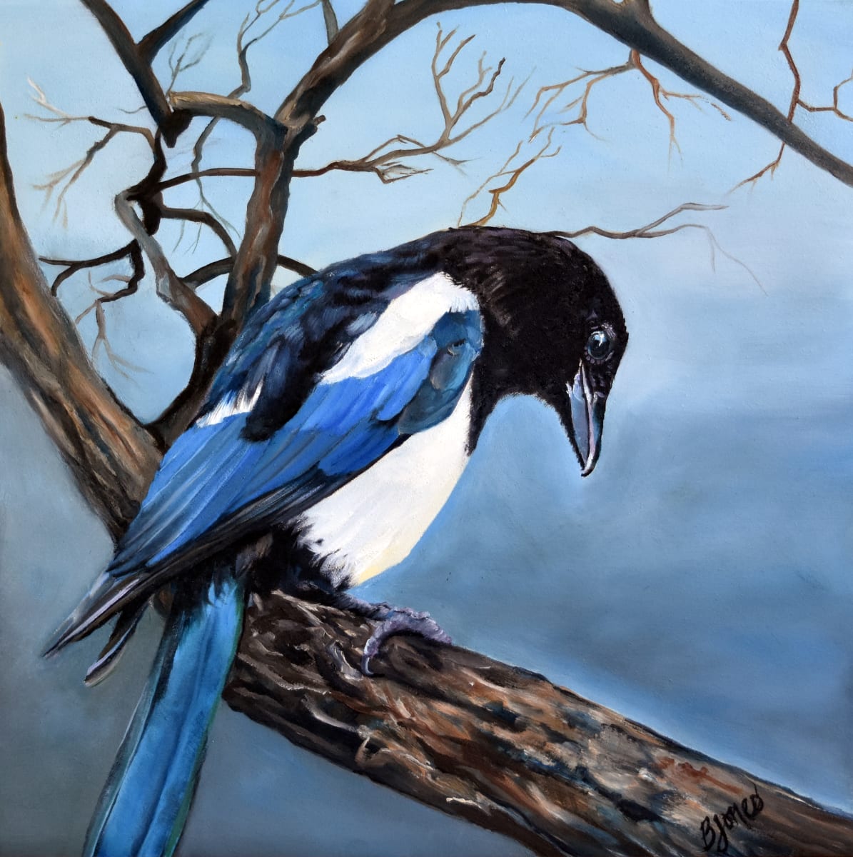 Curiosity by Bobbe Jones 