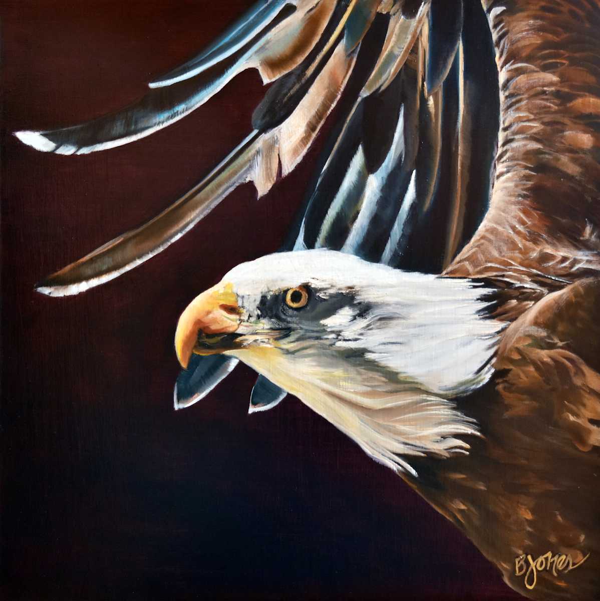 Flying High by Bobbe Jones, Image 1.