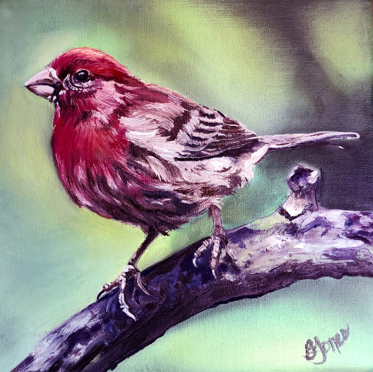 House Finch by Bobbe Jones  Image: Original