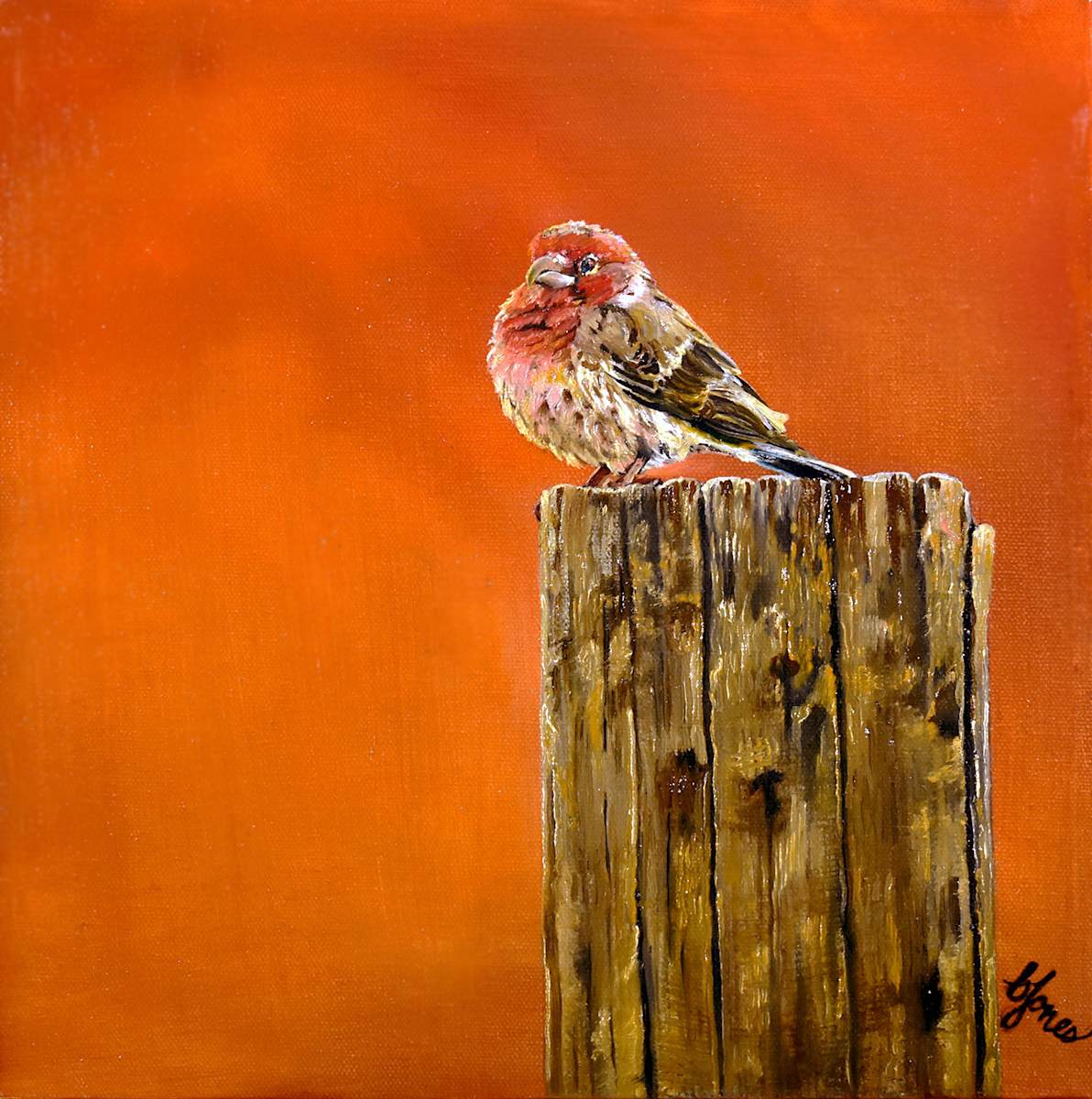 Morning View by Bobbe Jones, Image 1.