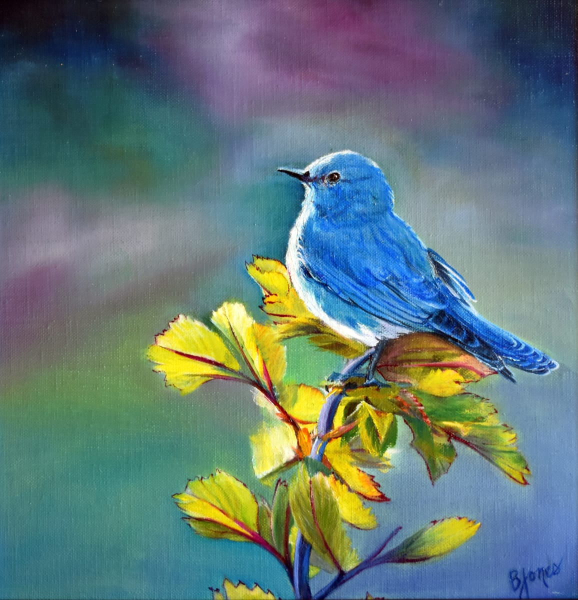 Mountain Blue Bird by Bobbe Jones  Image: Original