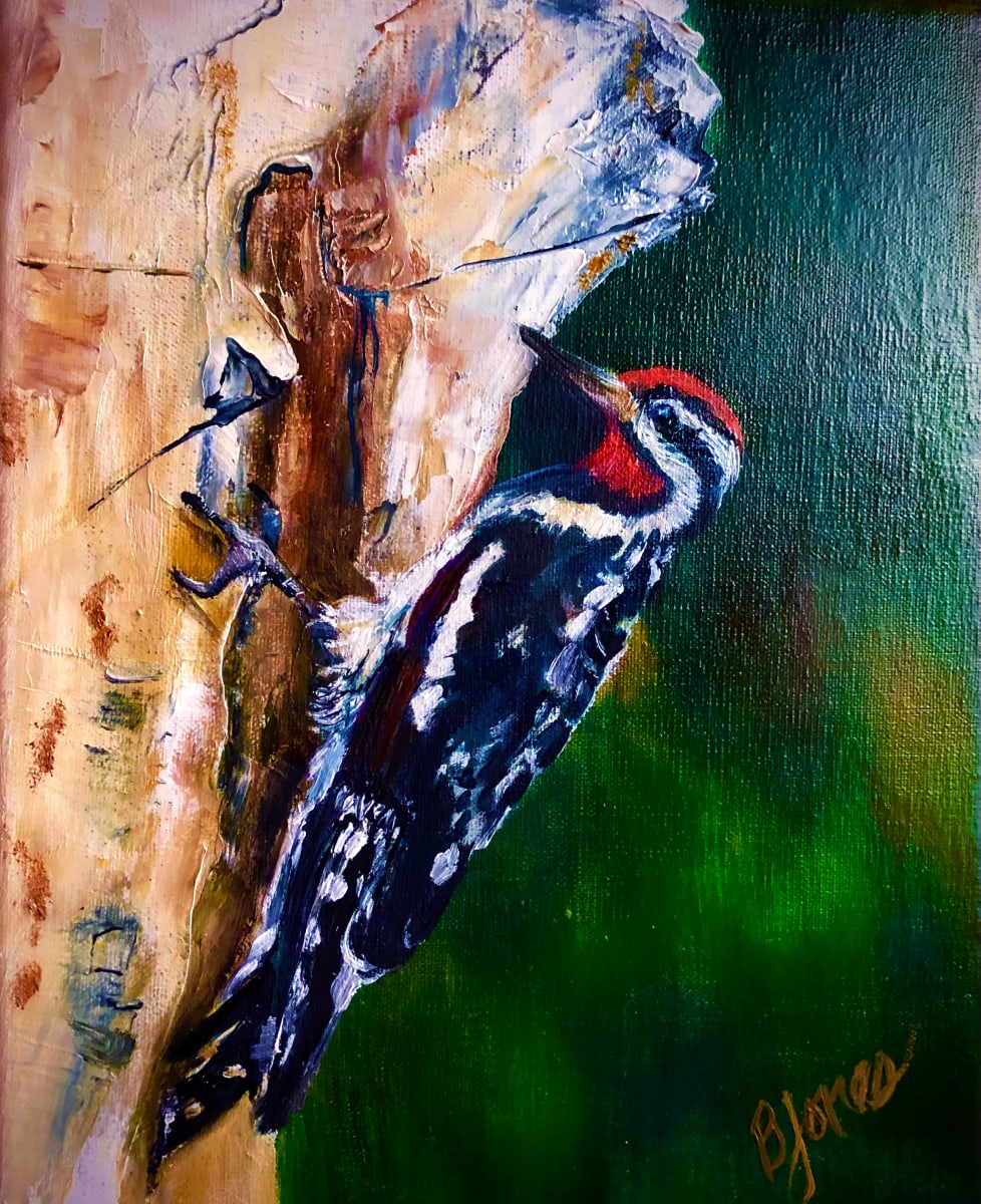 Red-Naped Sapsucker by Bobbe Jones  Image: Original