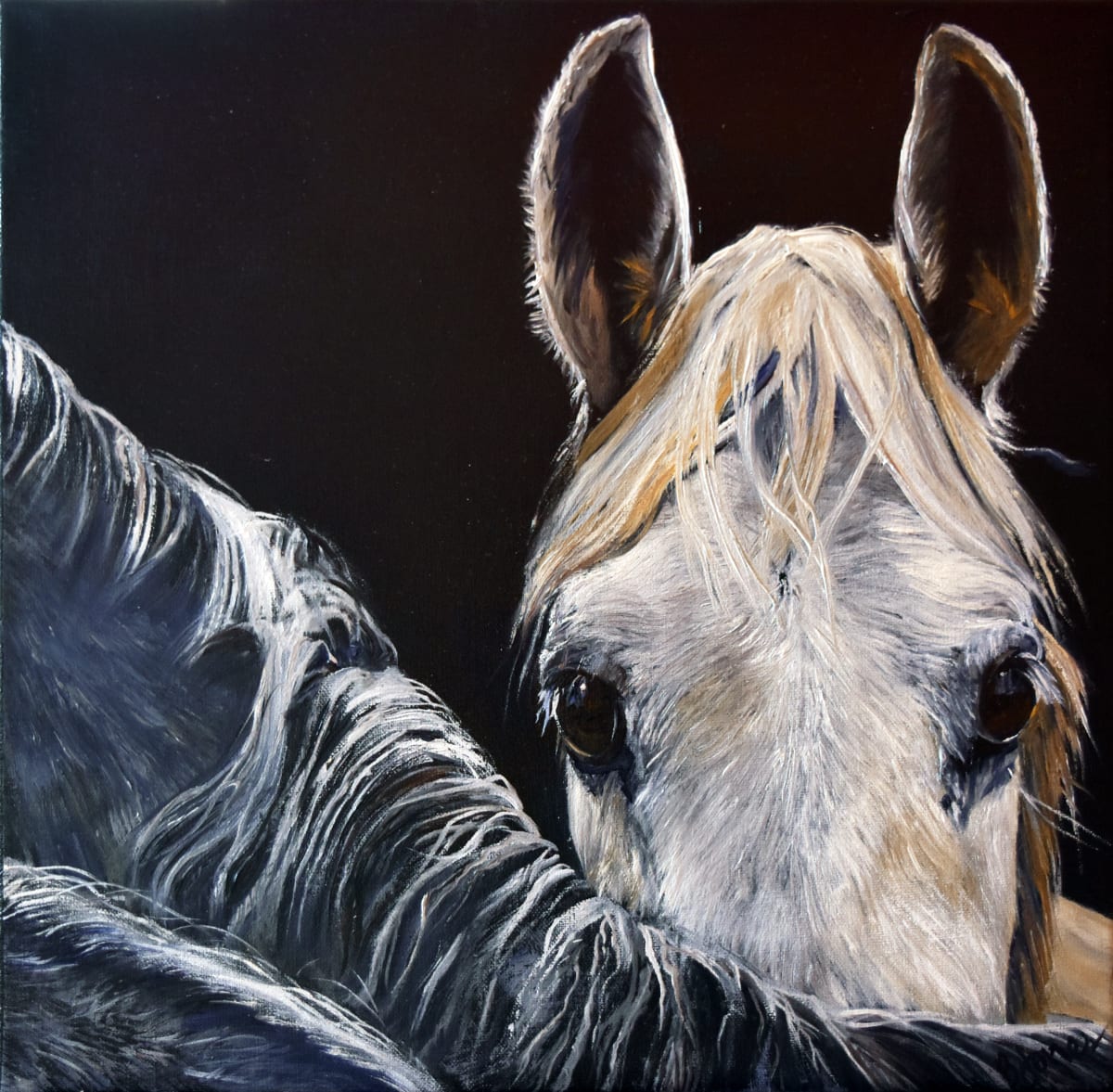 Shades of Gray by Bobbe Jones  Image: Original Front