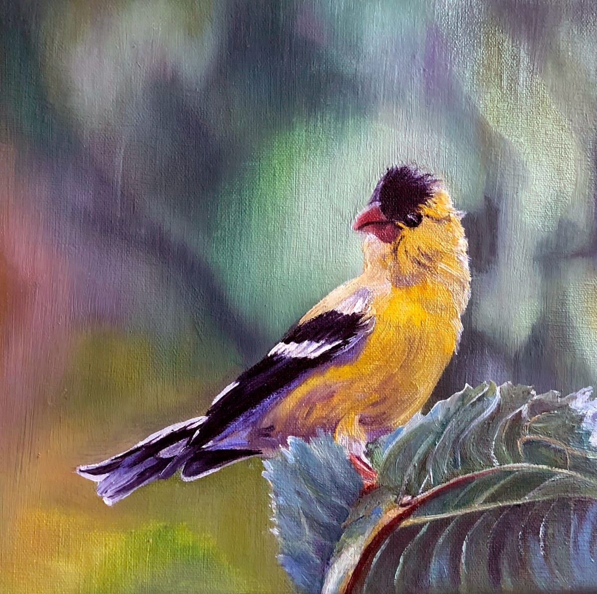 Yellow Finch by Bobbe Jones  Image: Original