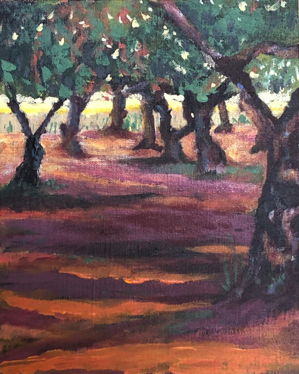 Olive Grove by Janet Gallagher  Image: Acrylic painting of an olive grove in bright sunshine