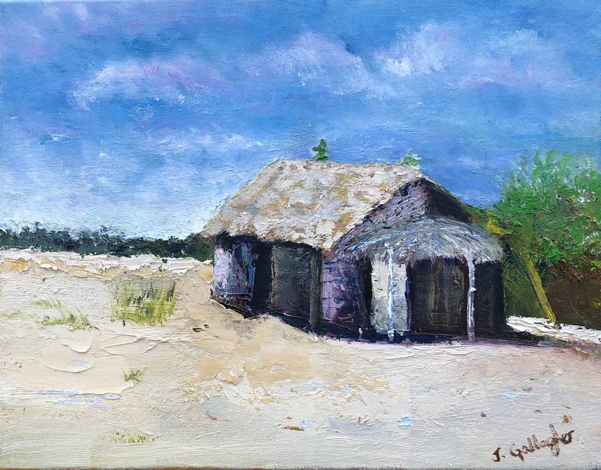 Beach Shack by Janet Gallagher  Image: An abandoned beach shack on a bright sunny day. 