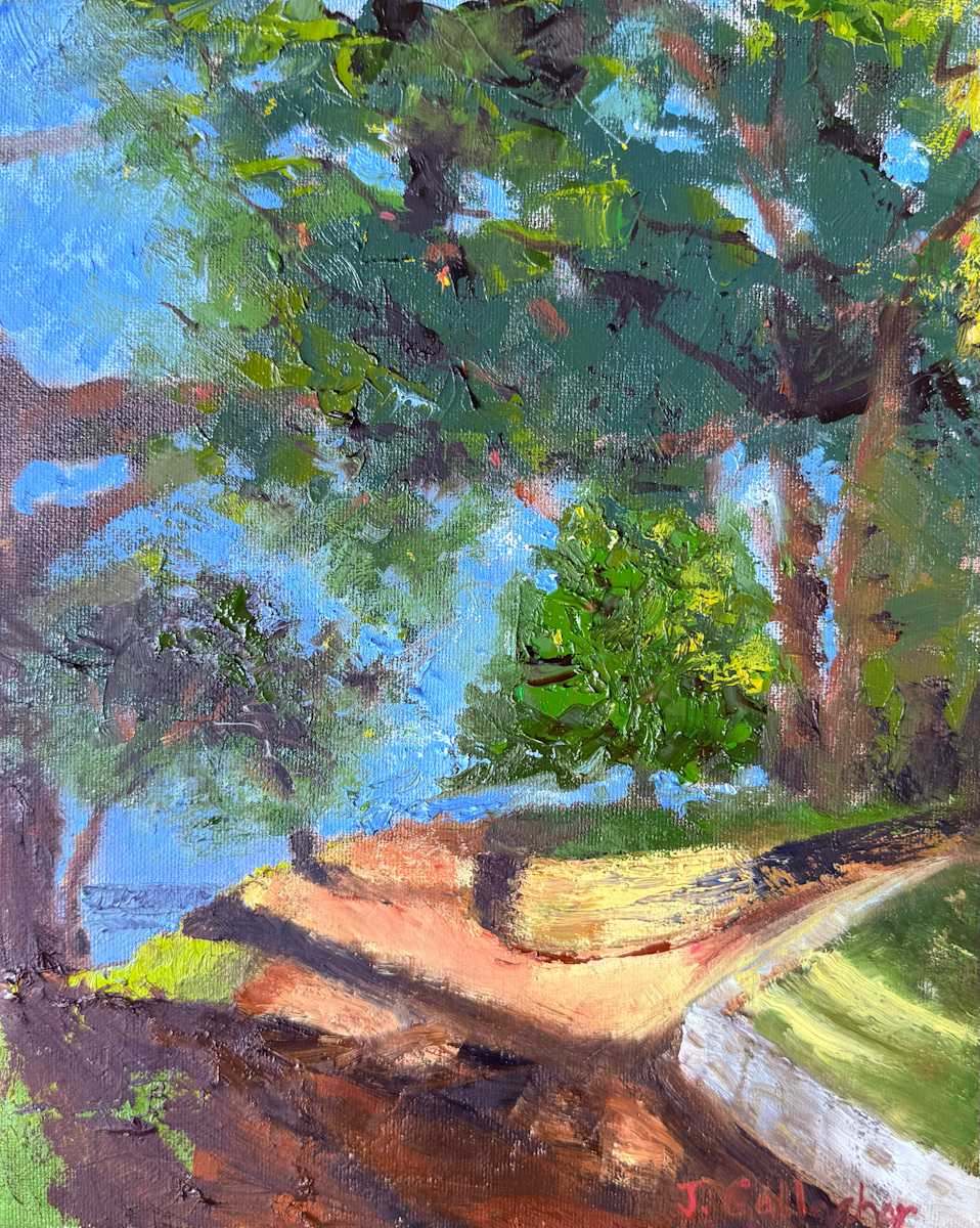 View from the Park by Janet Gallagher  Image: View from the Park, Madeira