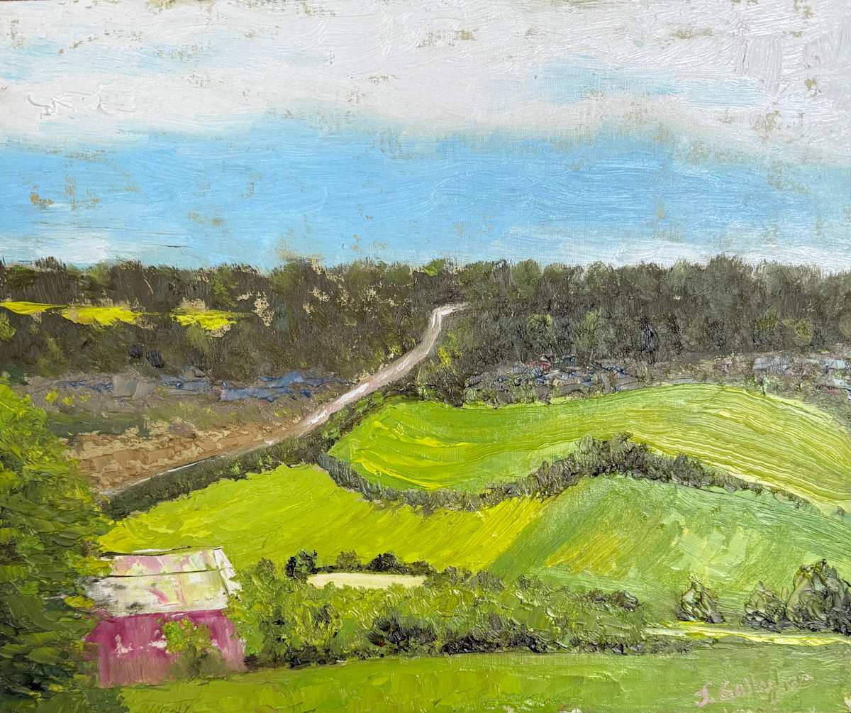 Farmland by Janet Gallagher 