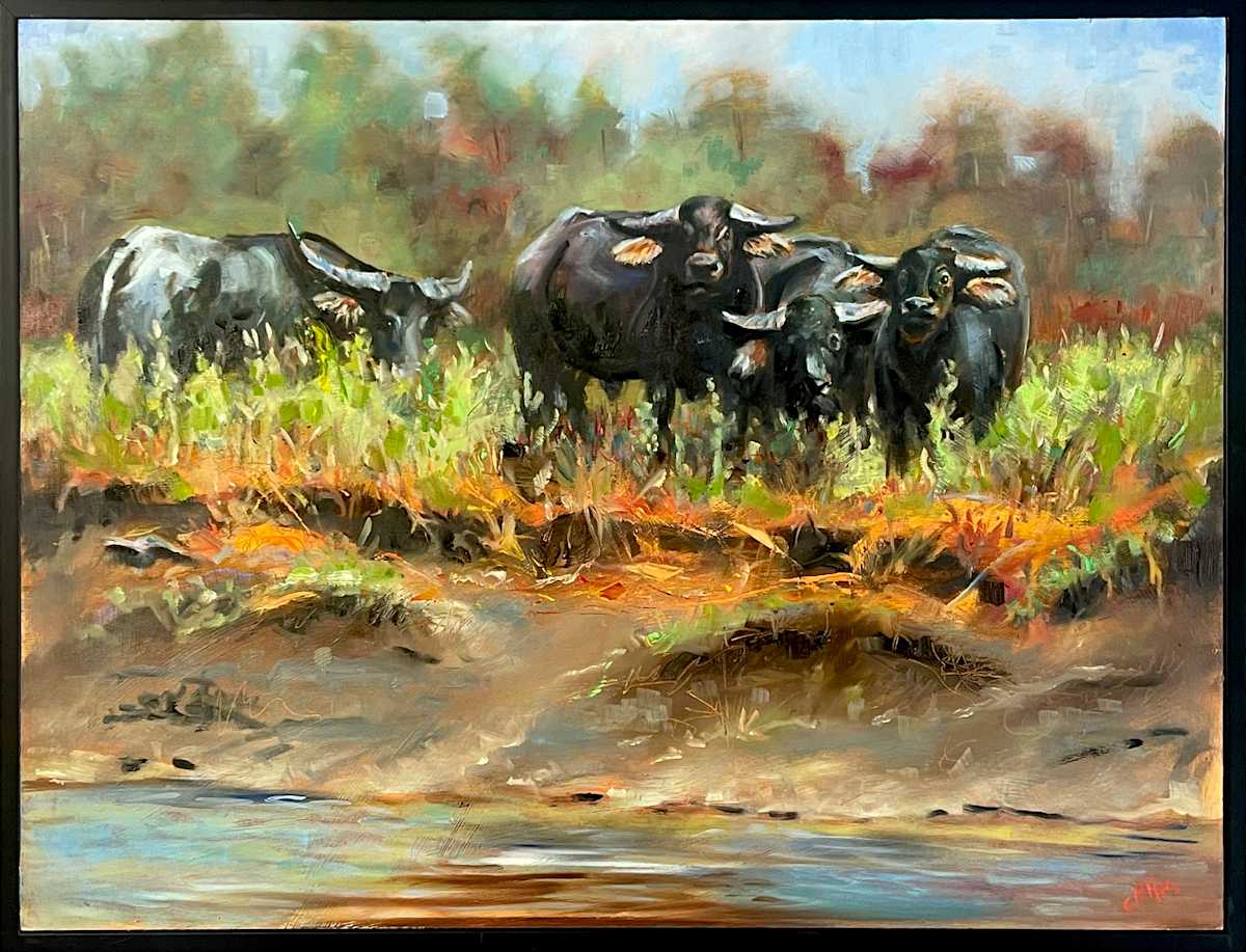 Buffalo by Catherine Miles 