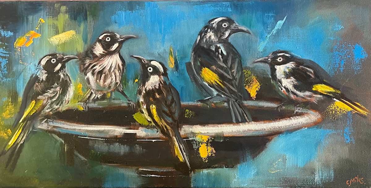 Honey Eater Antics by Catherine Miles 
