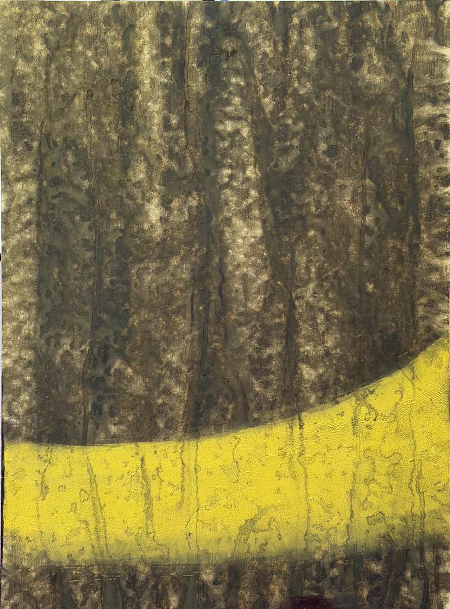BP0-14-Distinguished Bark by LCole, Image 1.