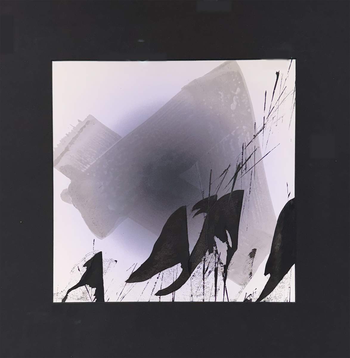 Protesters by LCole, Image 1.