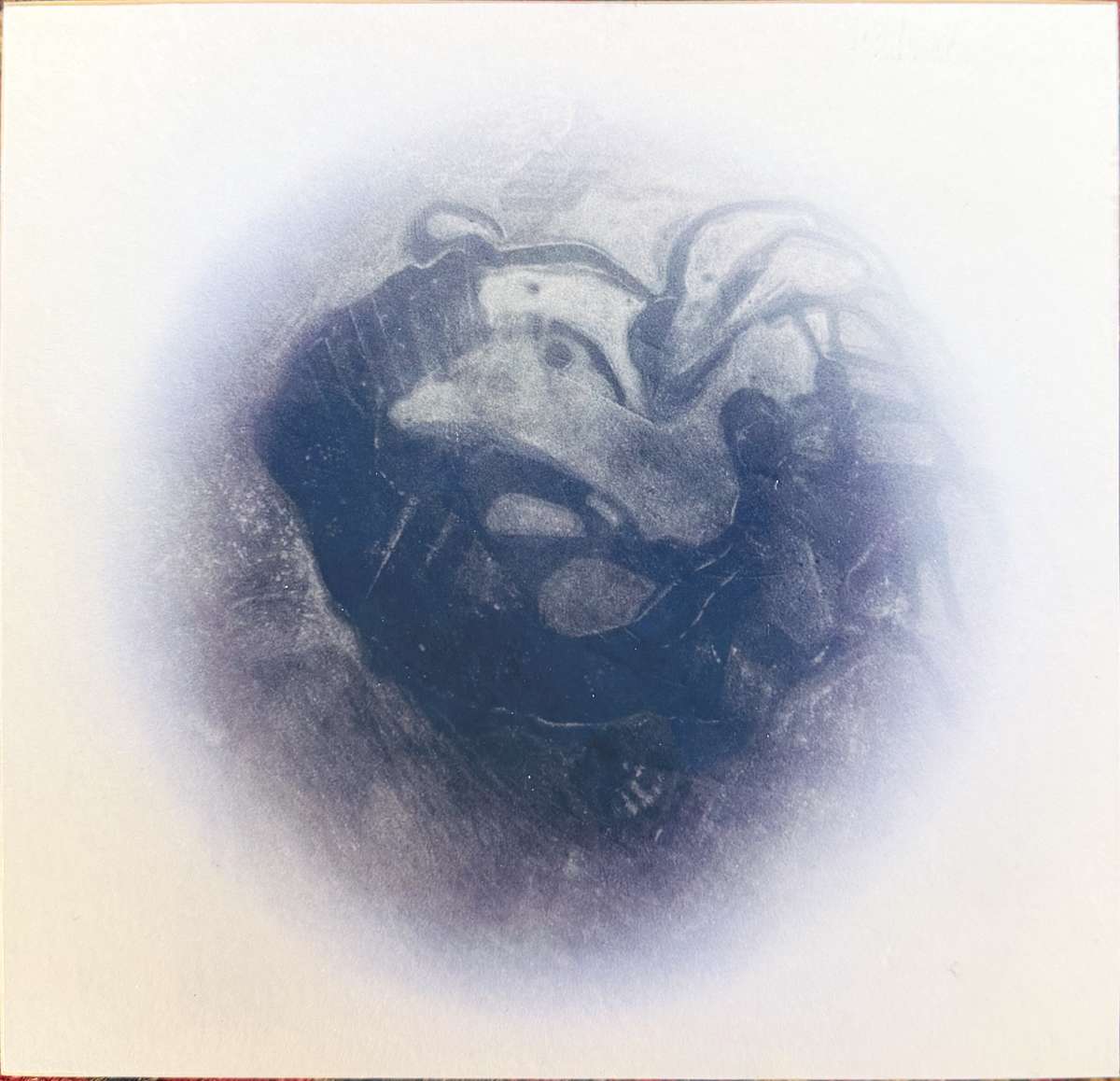 Random Thoughts - Trilobite by LCole, Image 1.