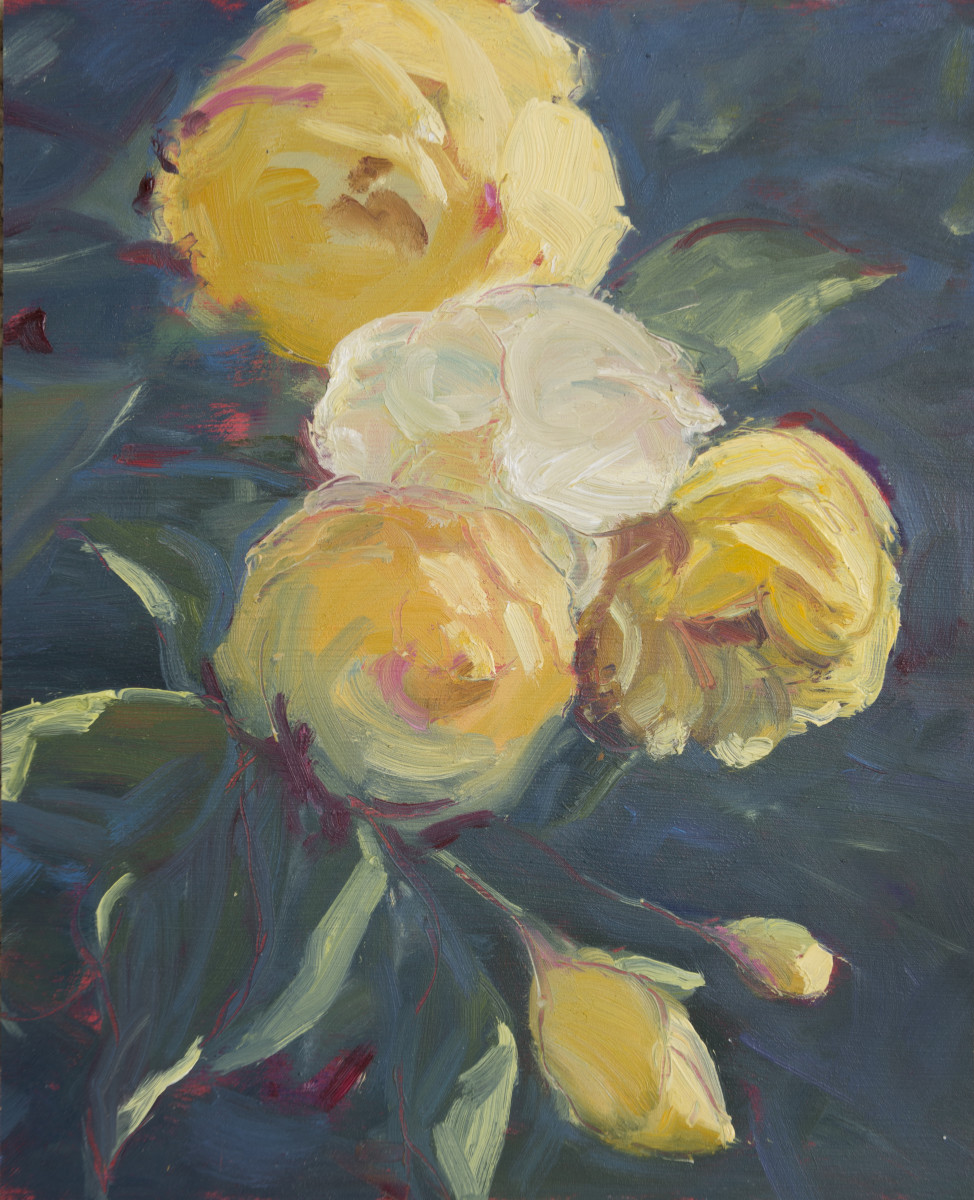 Yellow Roses Summer by Jennifer Riefenberg 