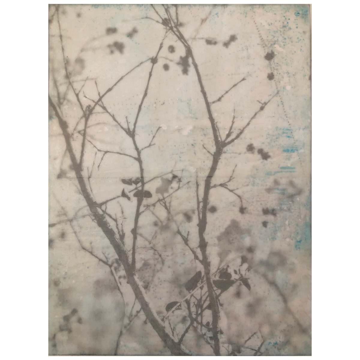 Subtle 1 by Shauna Marie Martin 
