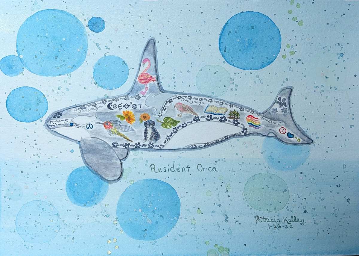 Resident Orca by Patricia A Kelley, Image 1.