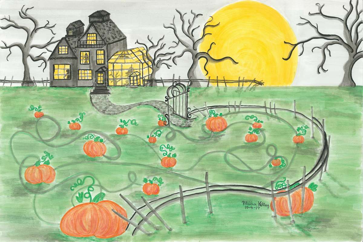 Pumpkin Patch by Patricia A Kelley, Image 1.