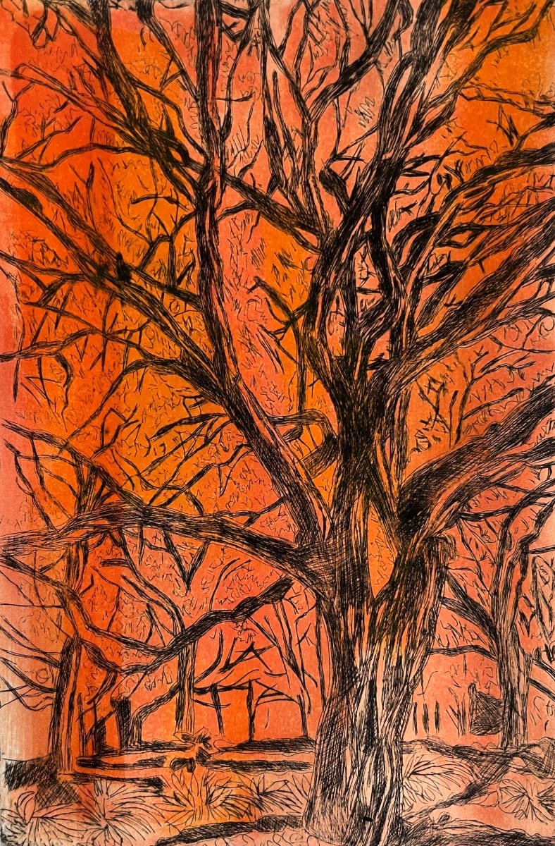 Halloween Woods by Katie Thompson 
