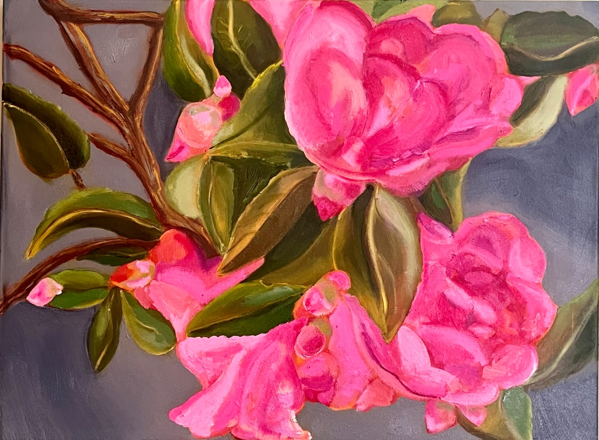 Camellias by Katie Thompson 