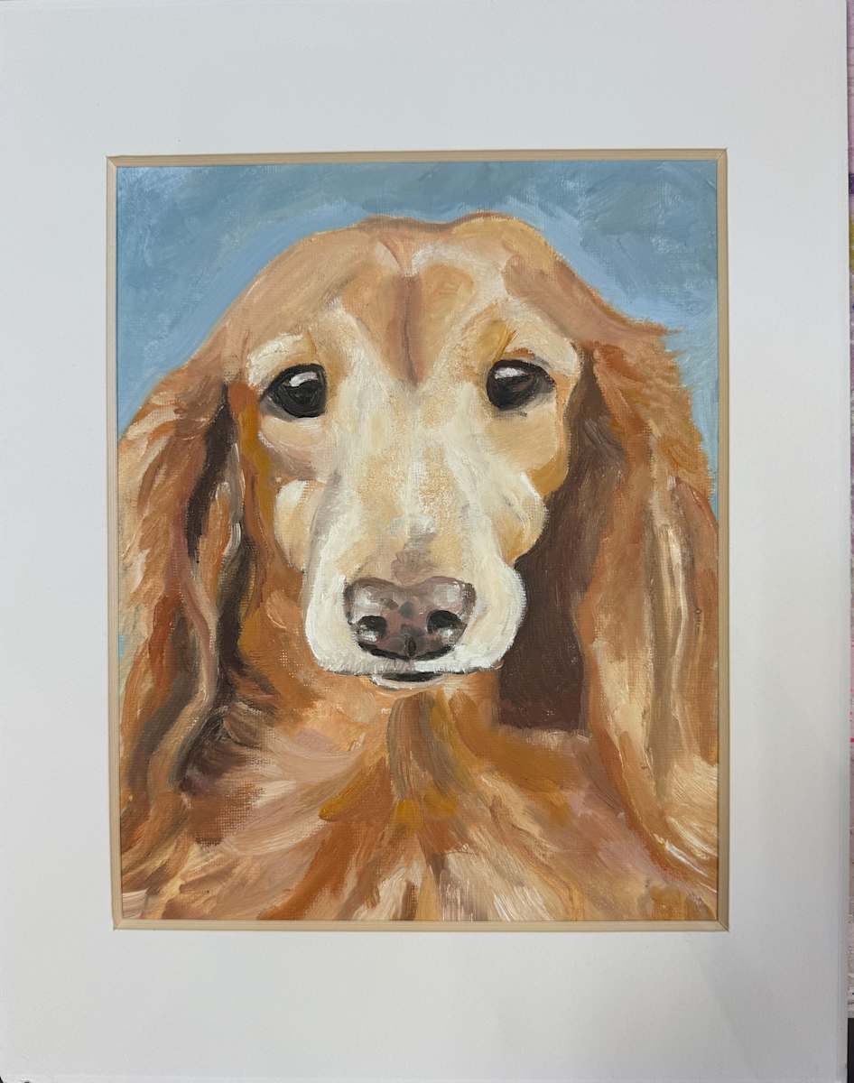 Ginger (Long Haired Dachsund) by Katie Thompson 