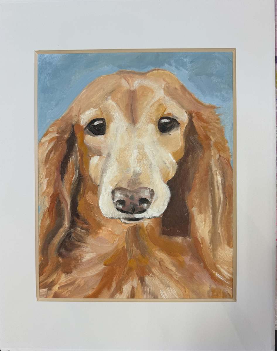 Ginger (Long Haired Dachsund) by Katie Thompson, Image 1.