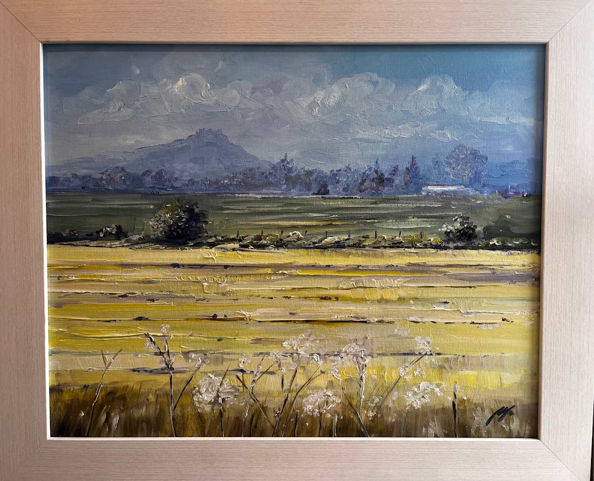 Stirling Castle by Allison Young 