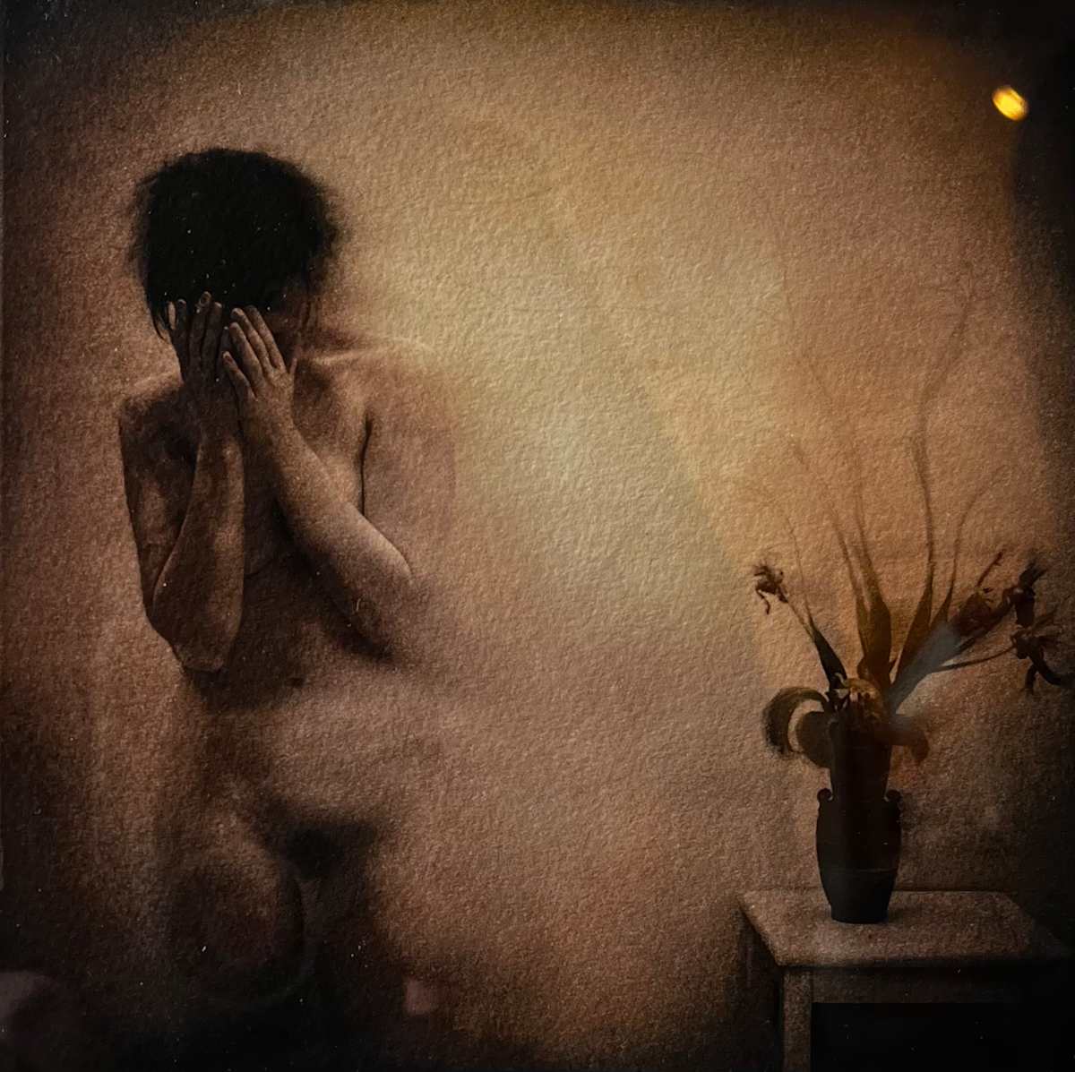 Plant Life by Dave Hunt 