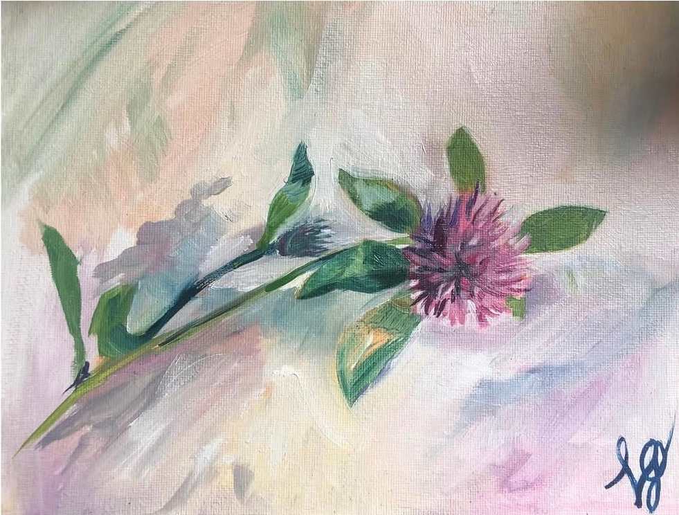 Clover by Louise Ogilvy 