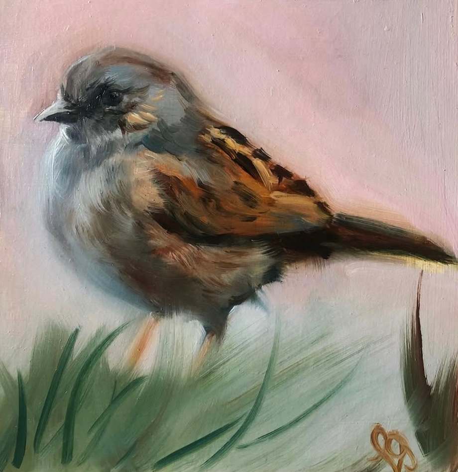 Dunnock by Louise Ogilvy 