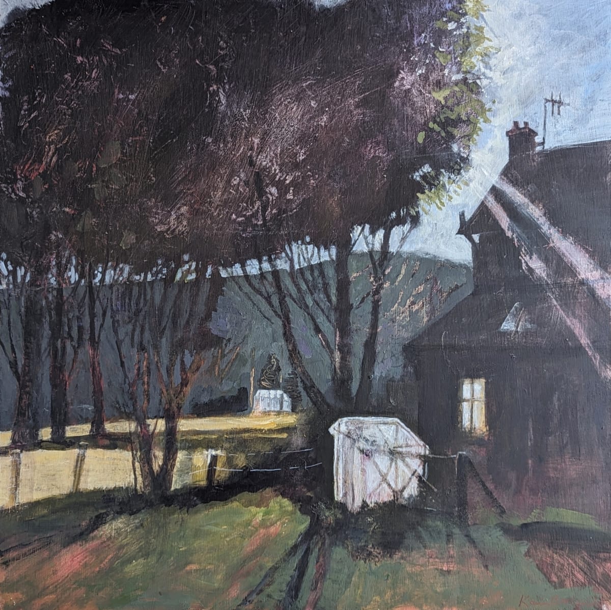 Crazy Diamond by Karin Borland 