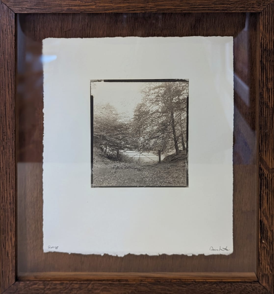 Woodland Gate by Dave Hunt 