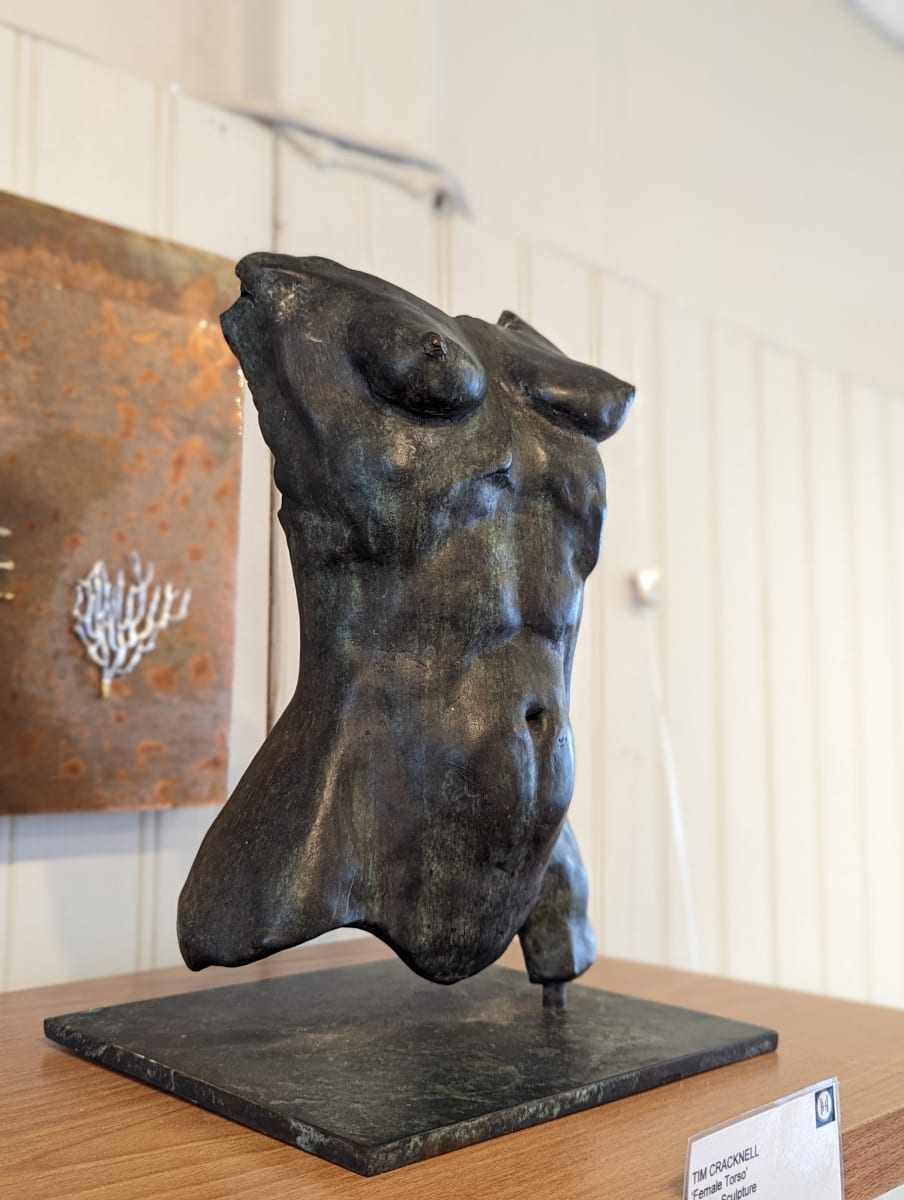 Female Torse by Tim Cracknell 