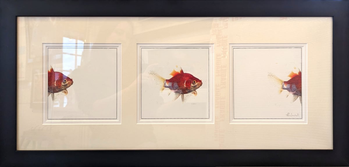 Passing Through by Tim Cracknell 