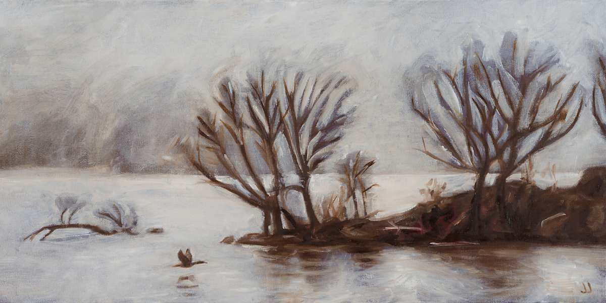 Cootes Paradise, Foggy Morning by Janet Jardine, Image 1.