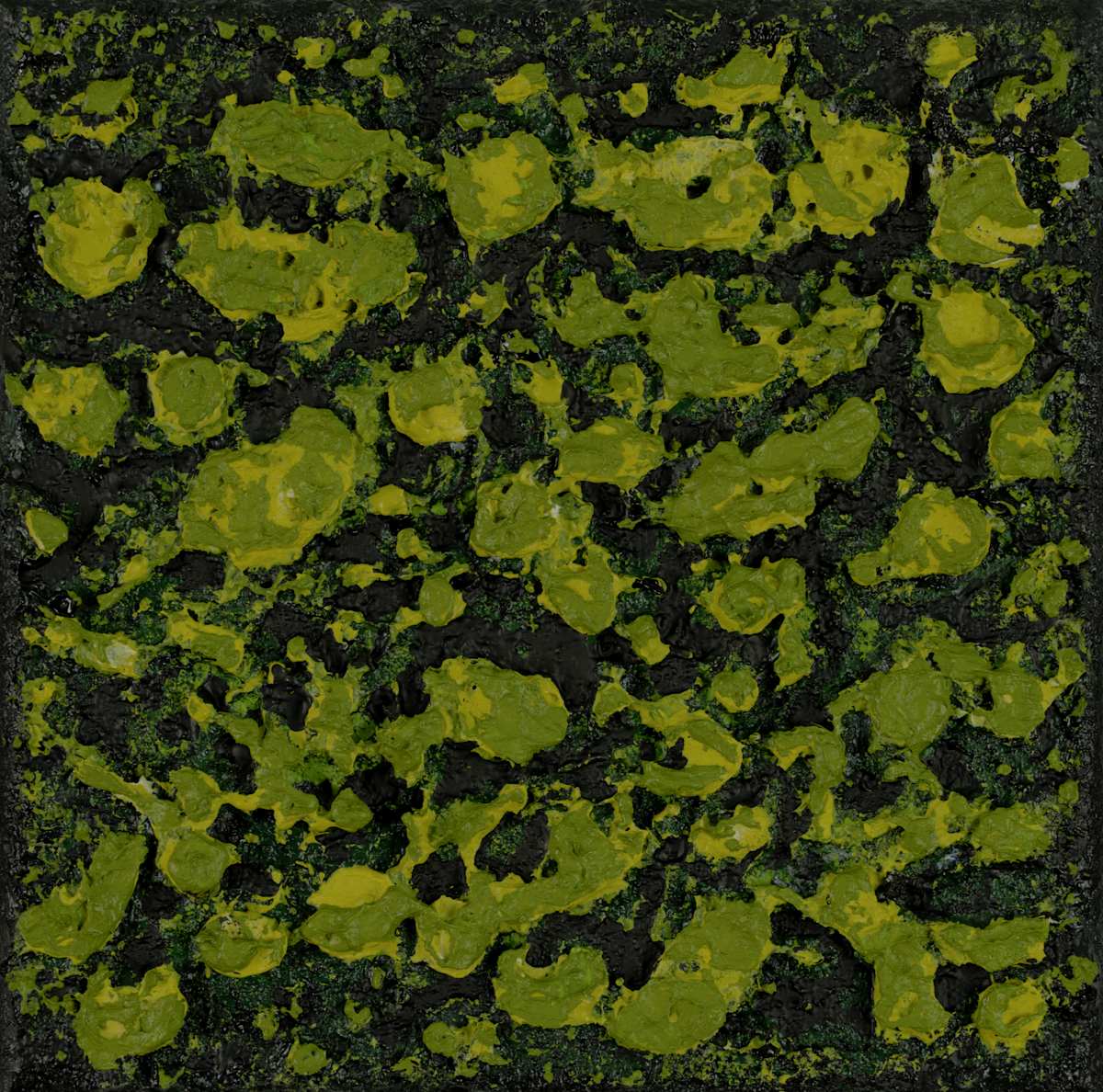 Mossy Lava no 2454 by Klara Gunnlaugsdottir 