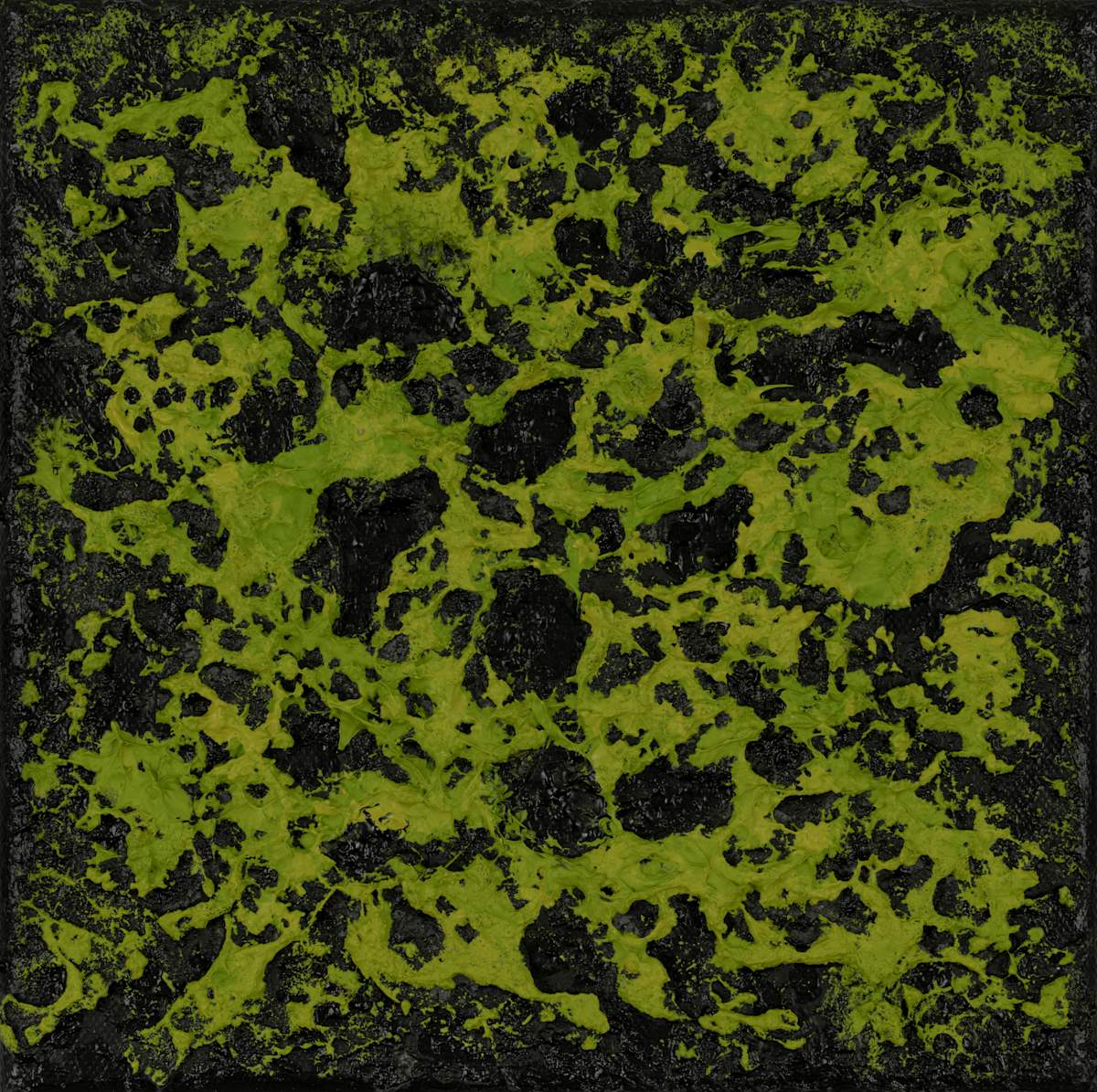 Mossy Lava no. 2453 by Klara Gunnlaugsdottir 