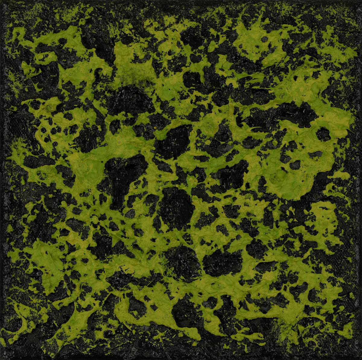 Mossy Lava no. 2453 by Klara Gunnlaugsdottir, Image 1.