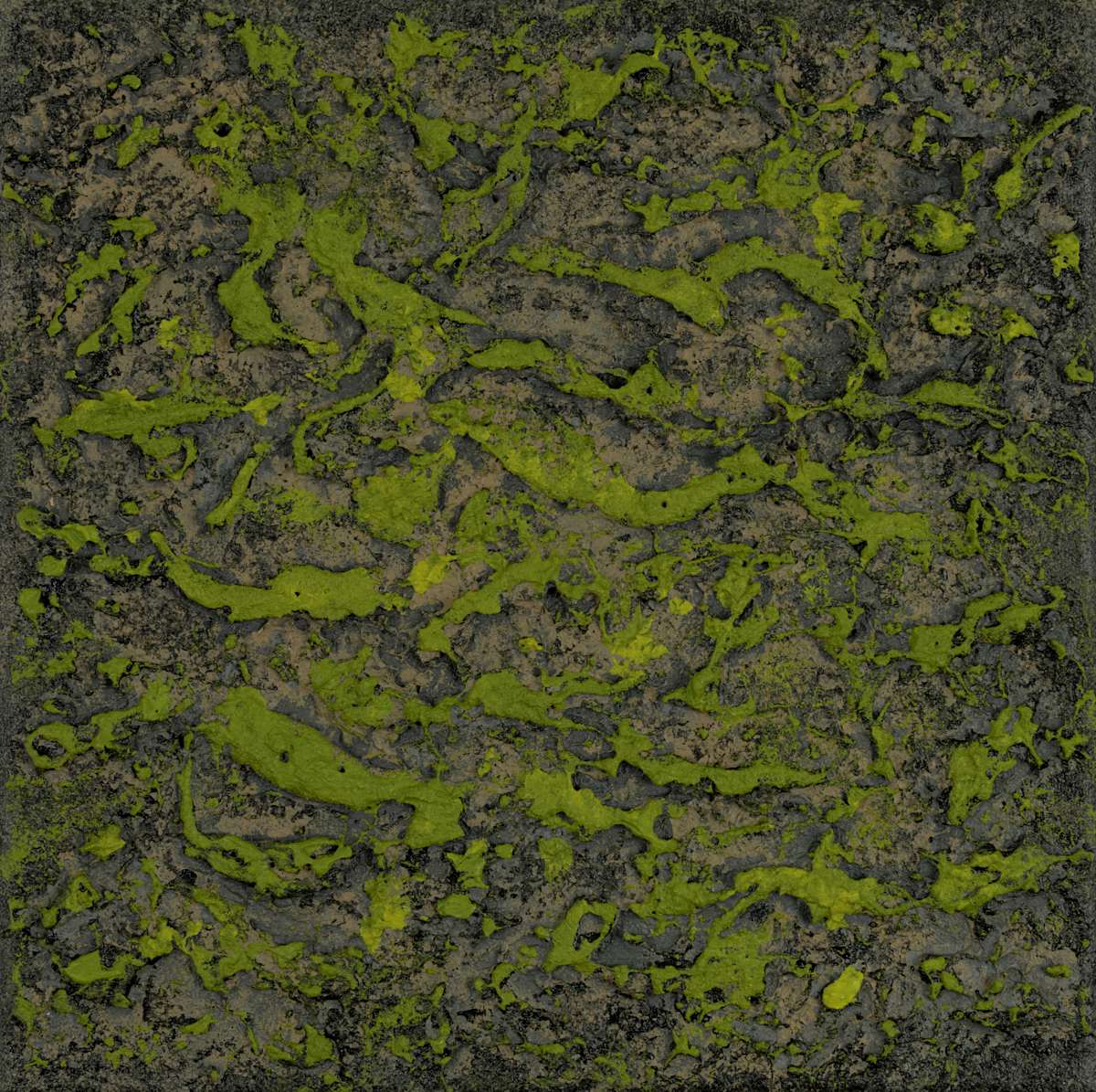 Mossy Lava Field no. 2456 by Klara Gunnlaugsdottir 
