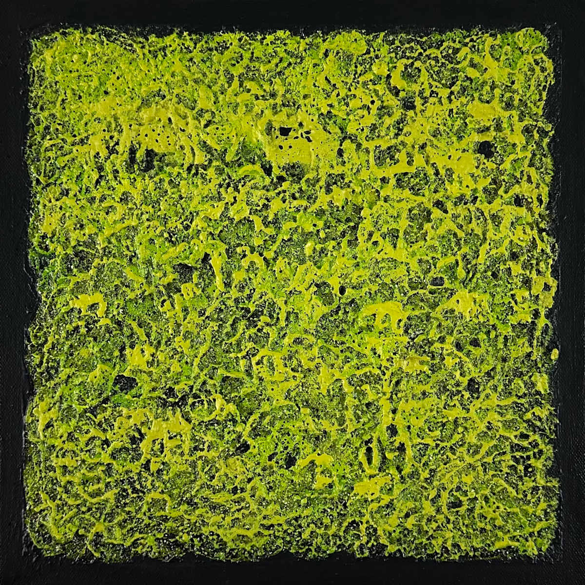 Mossy Lava Field no. 2550 by Klara Gunnlaugsdottir 
