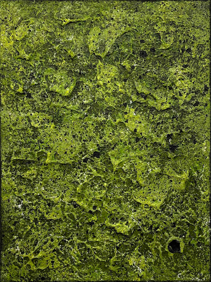 Mossy Lava Field no. 2520 by Klara Gunnlaugsdottir 