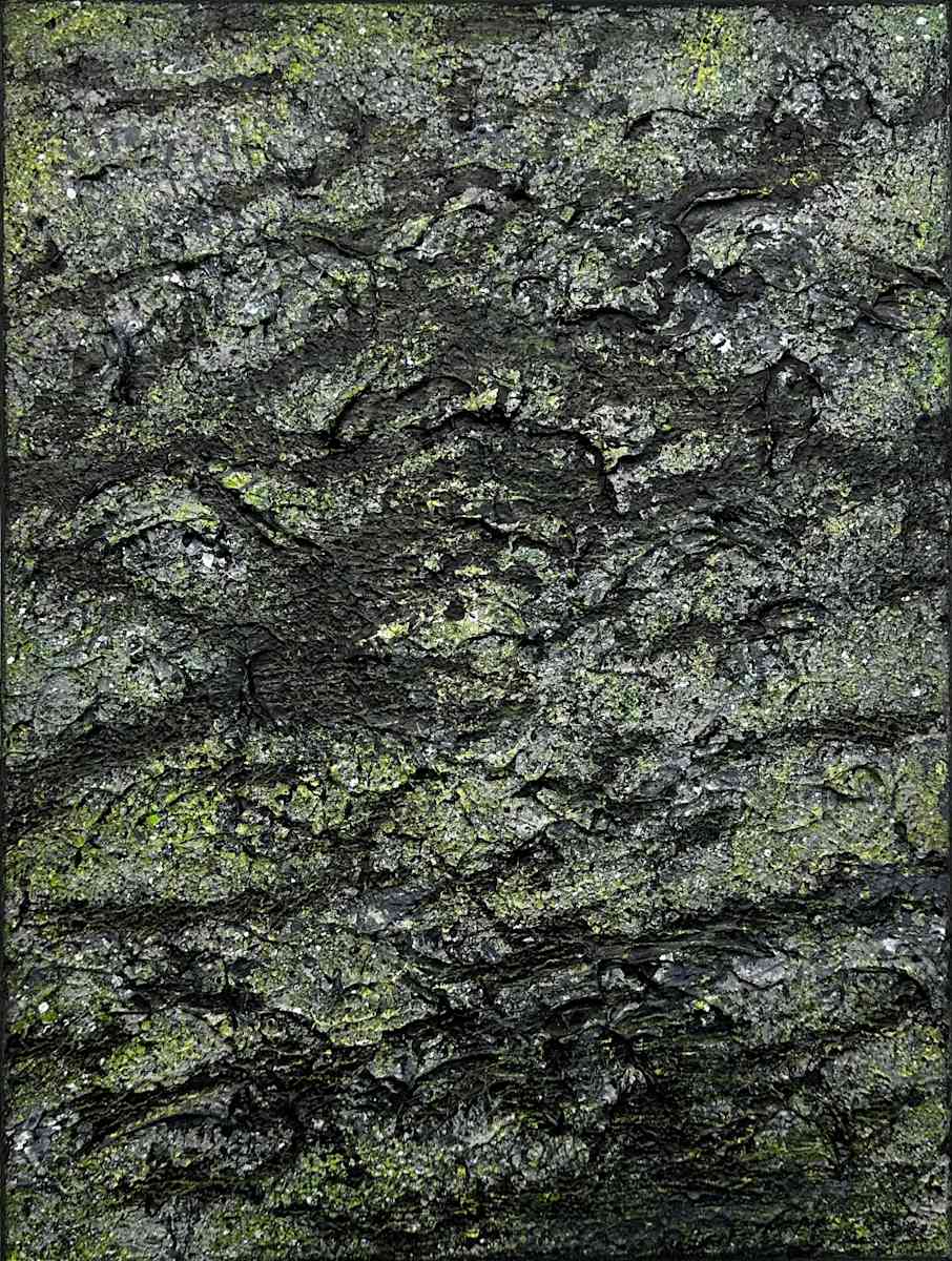 Mossy Lava Field no. 2521 by Klara Gunnlaugsdottir 