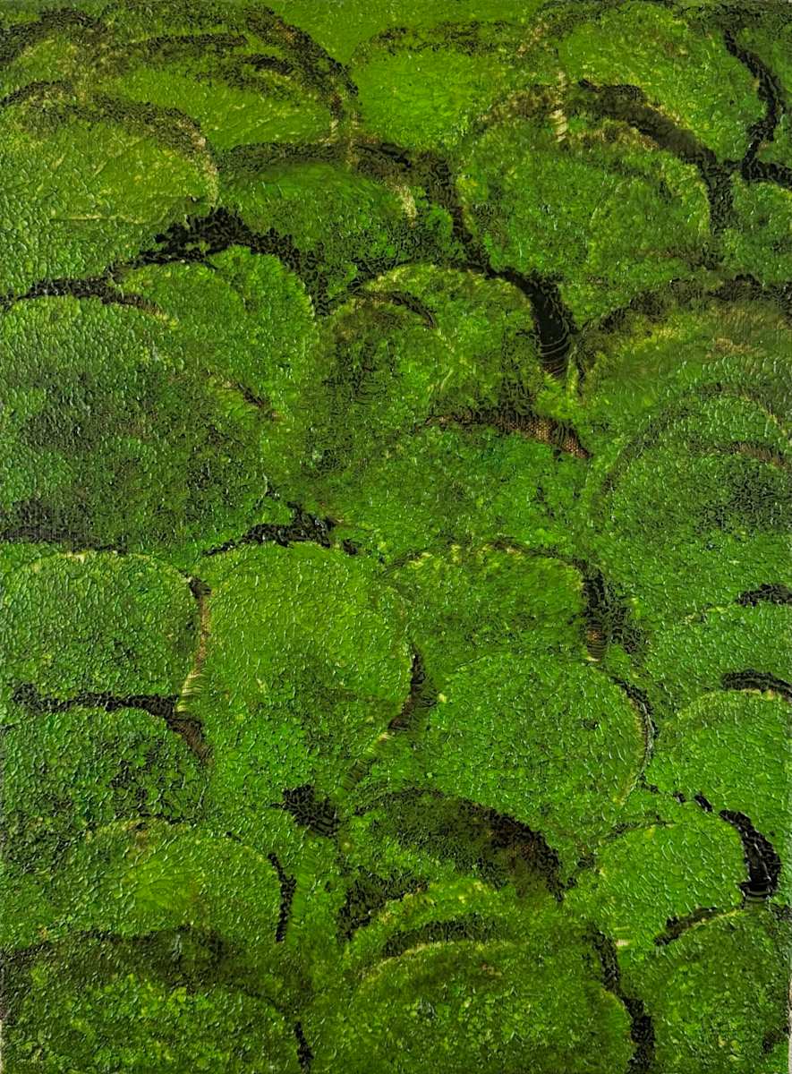 Nature's Blanket no. 2537 by Klara Gunnlaugsdottir 