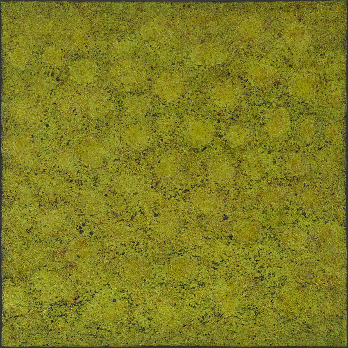 Moss Green  (Mousse verte) by Klara Gunnlaugsdottir, Image 1.
