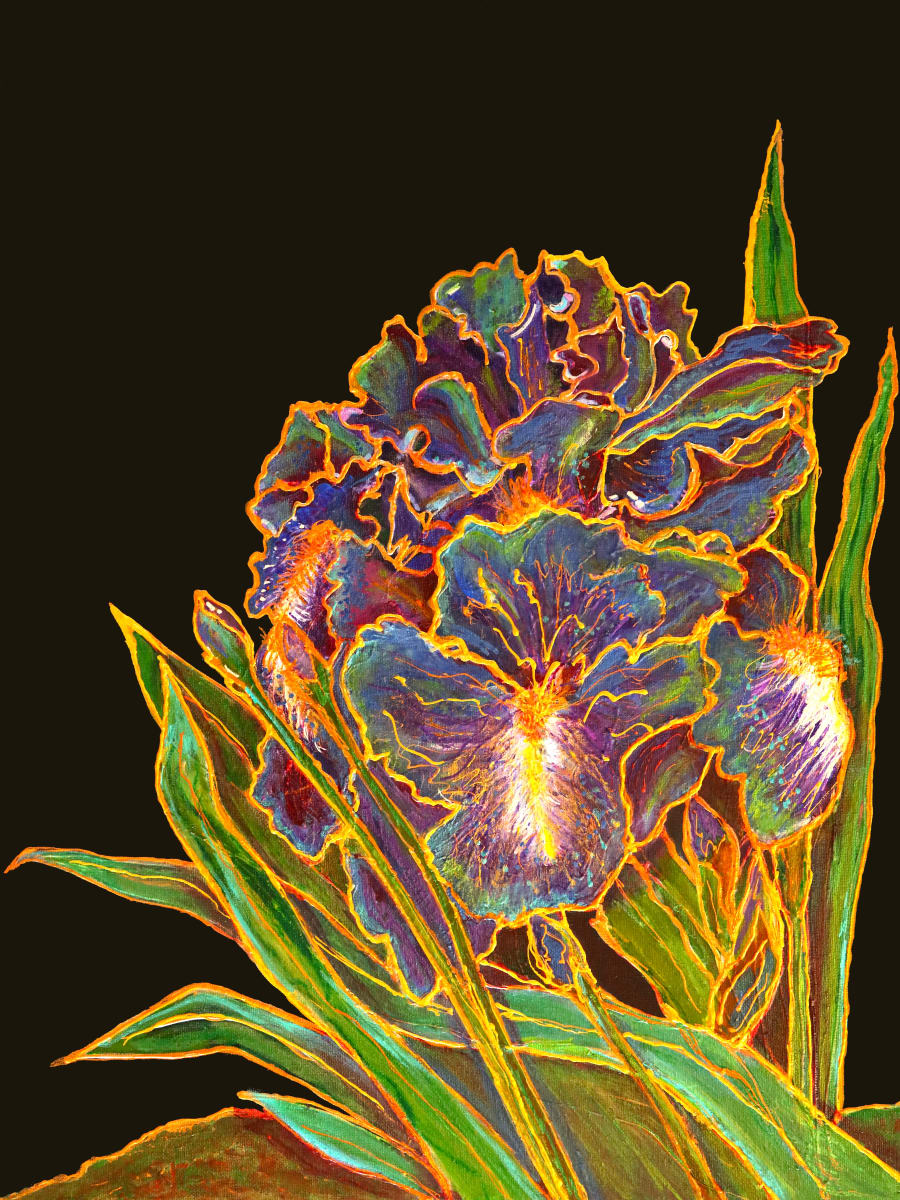 For Laurie by MJ Okawa  Image: Experience the bold elegance of “For Laurie”, a vibrant depiction of luminous irises against a dramatic backdrop. Limited Edition Prints are available in various sizes and finishes.