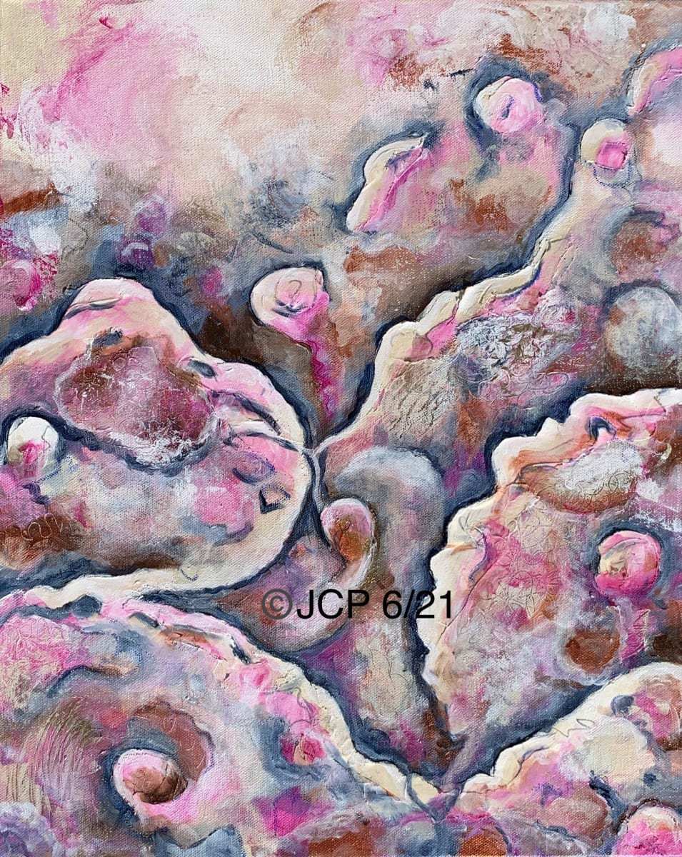 A Cloudy Mind Becomes Illuminated. by Jennifer C.  Pierstorff 