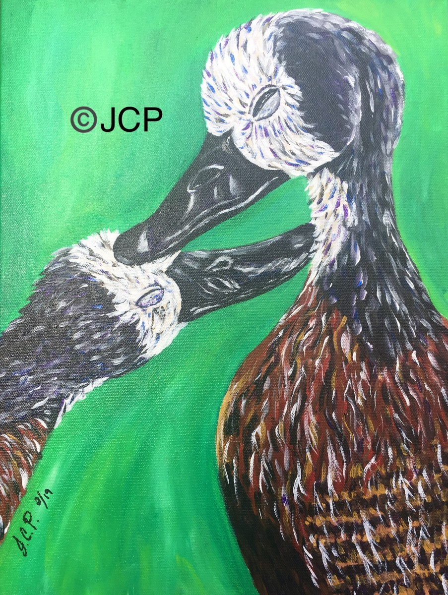 White Headed Duck Kisses Her Gossling by Jennifer C.  Pierstorff 